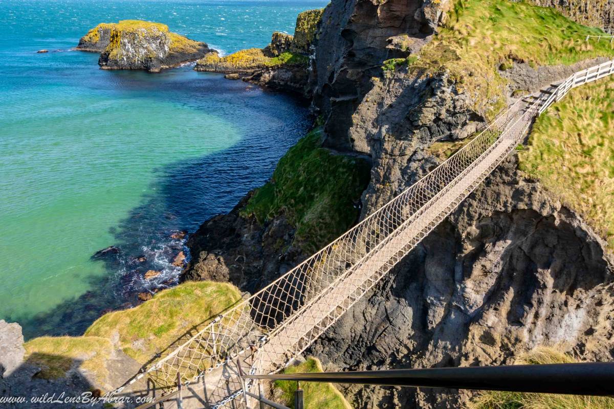 Are you brave enough to walk on Carrick-A-Rede Rope Bridge?
