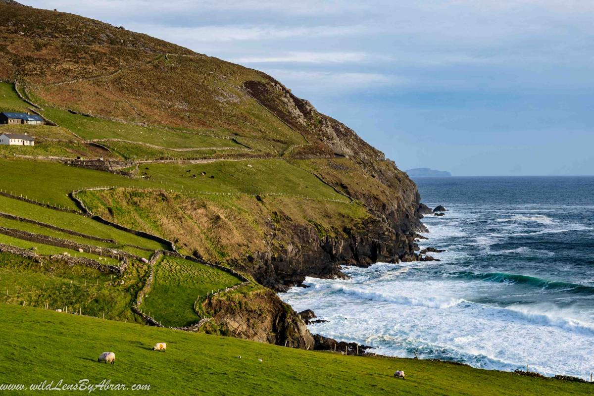The Best Irish Road Trip Itinerary
