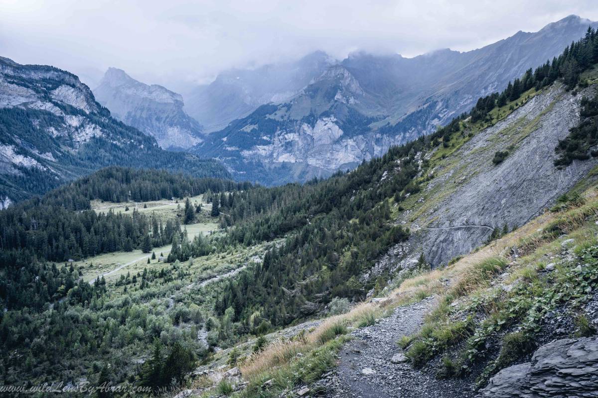 Oeschinensee Panorama Trail No. 8