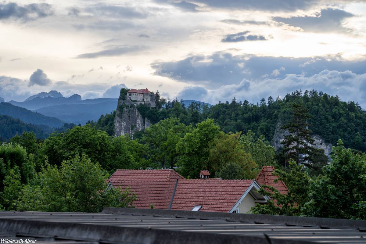 Castle Bled (Picture was taken from the balcony of my apartment)