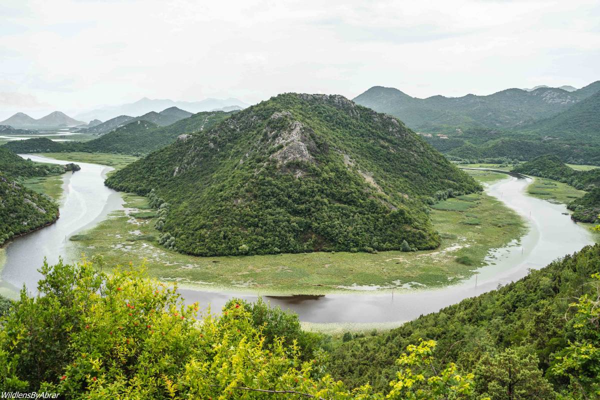 Lake Skadar Montenegro