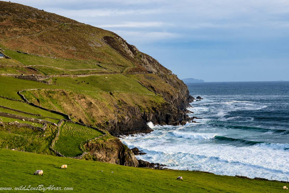 Incredible Wild Atlantic Coast views from Slea Head Drive Viewingpoint