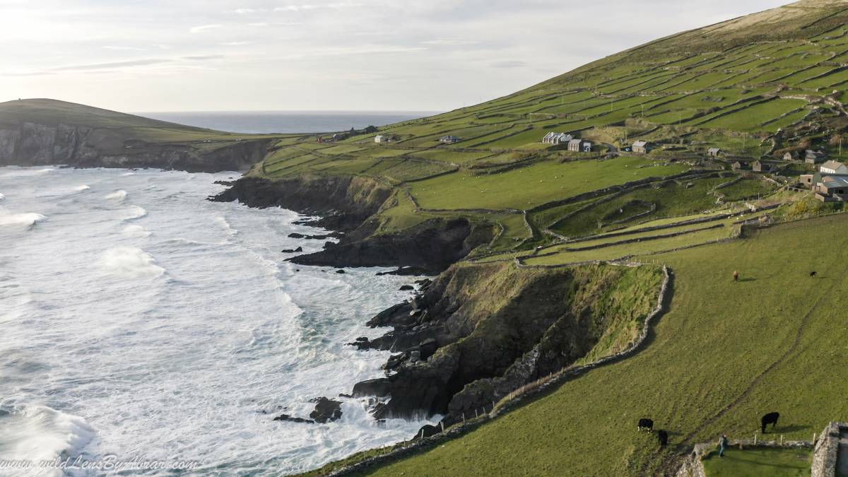 Slea Head Drive and coumeenoole Beach on a windy day