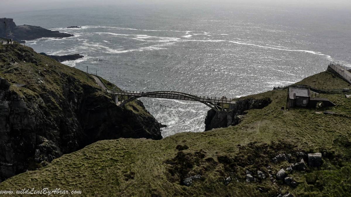 View of Bridge from Viewing Platform