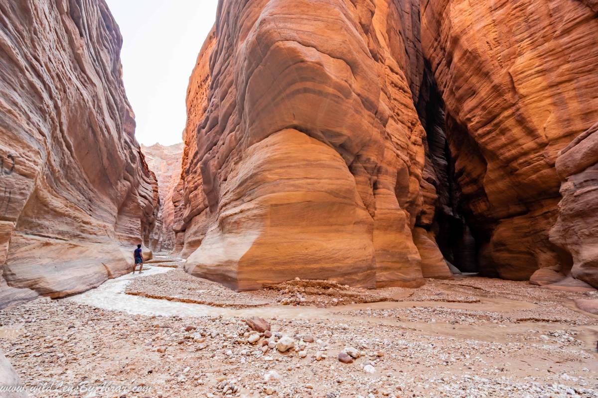 Wadi Numeira Siq Trail - Hike the stunning Wadi Numeira siq trail