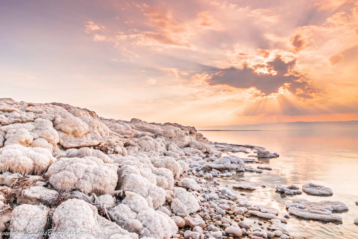 Amazing salt formations along the shores of Dead sea