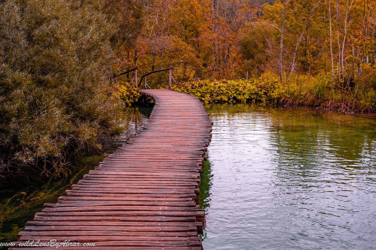 The Wood Pathway Leading to the End of the Upper Lakes Section