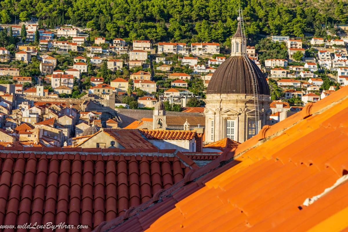 Dubrovnik Cathedral from City Walls