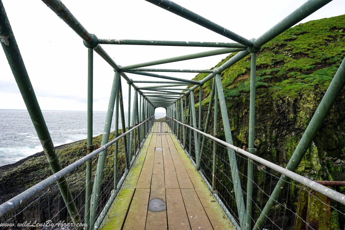 Walking on the bridge on the trail