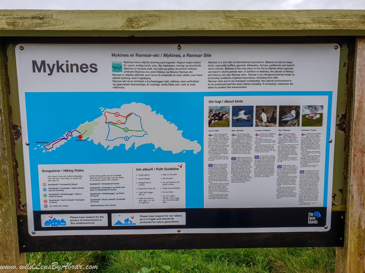 Hiking trails on Mykines island