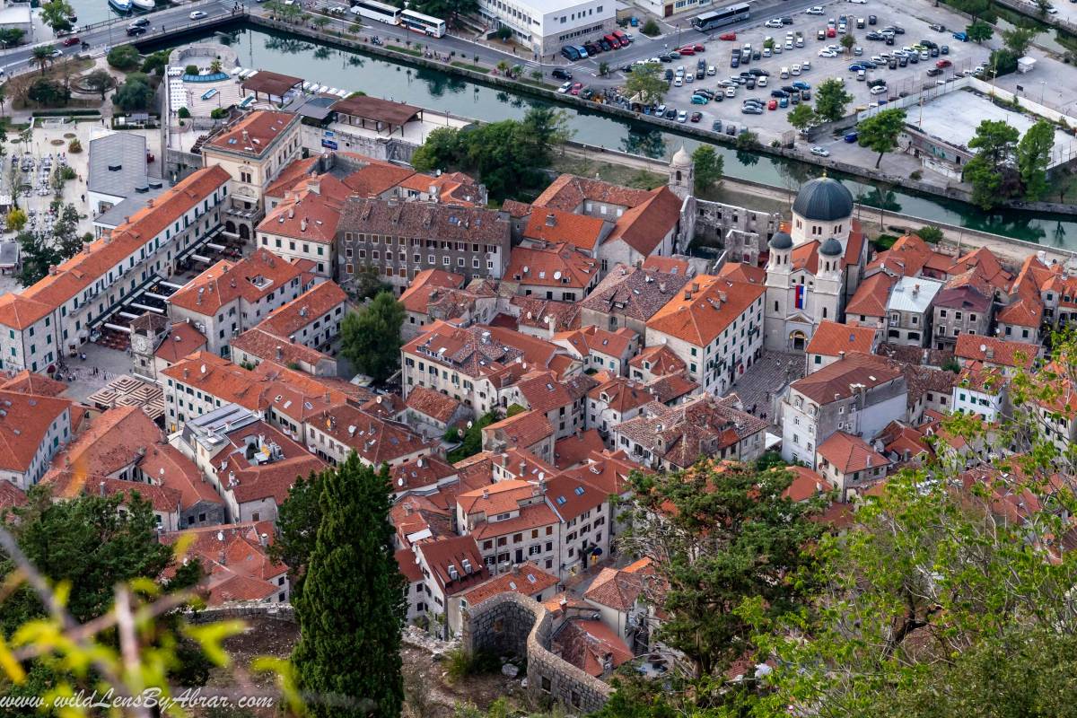 The old town of Kotor (picture taken from Ladder of Kotor Hike)