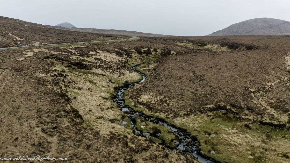 Road passing through Glenveagh National Park