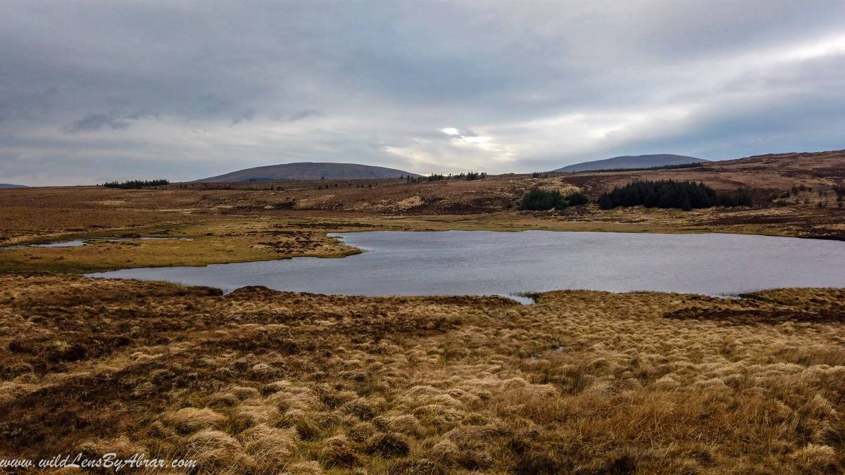 Lough Geeta in Crockmurrin Mountain Bog