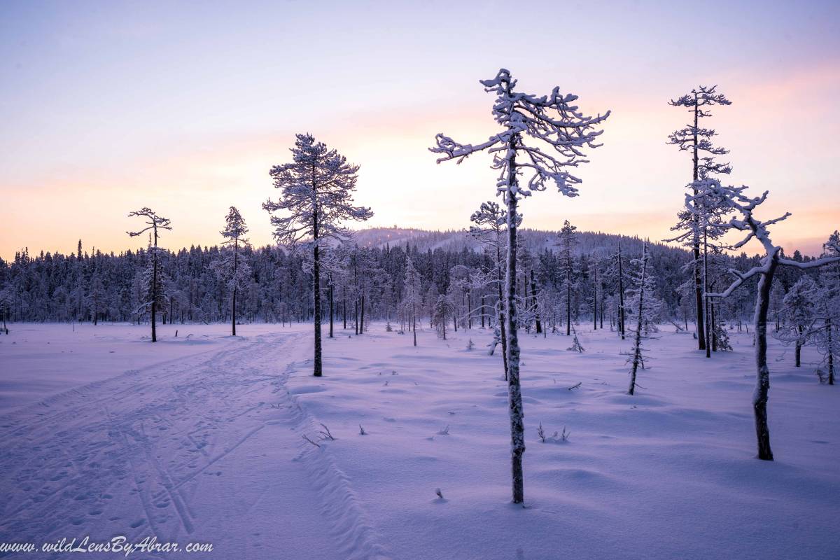 The Daylight during the month of December was only 3-4 hours but the colours were stunning