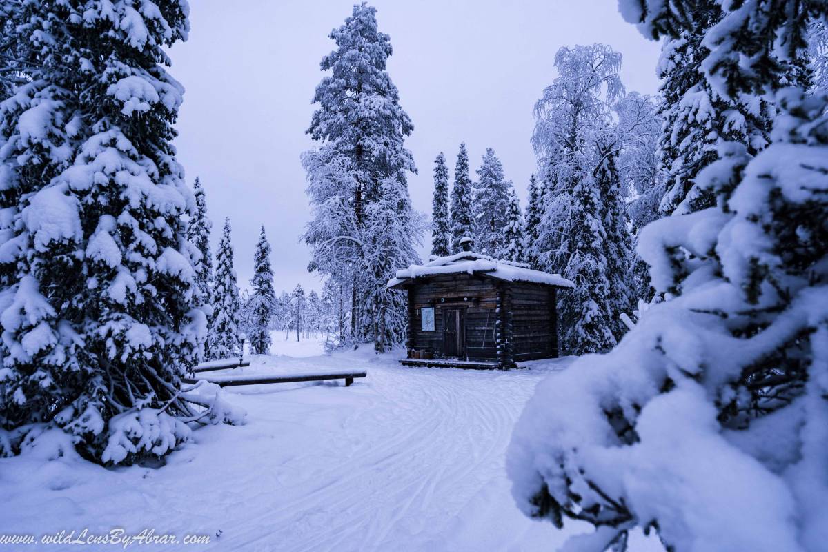 Ylpiätupa Wilderness Day Hut inside the park intended for the visitors to use during daytime