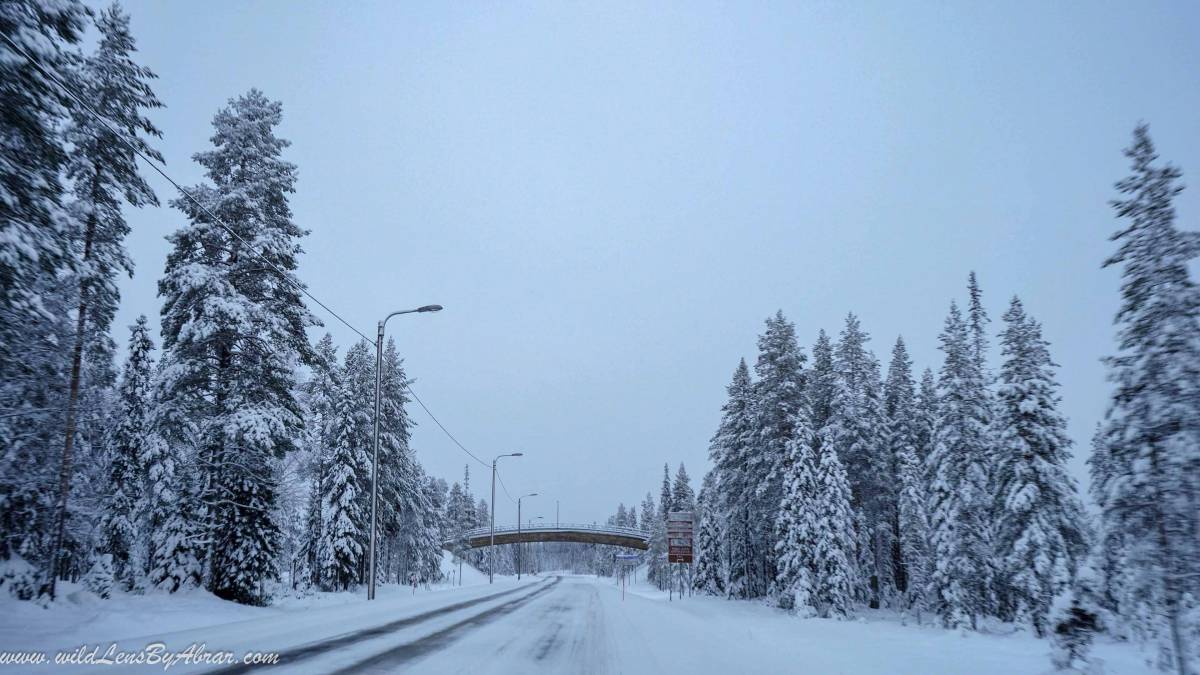Drive towards Iso-Syöte and Syöte National Park is absolutely breathtaking