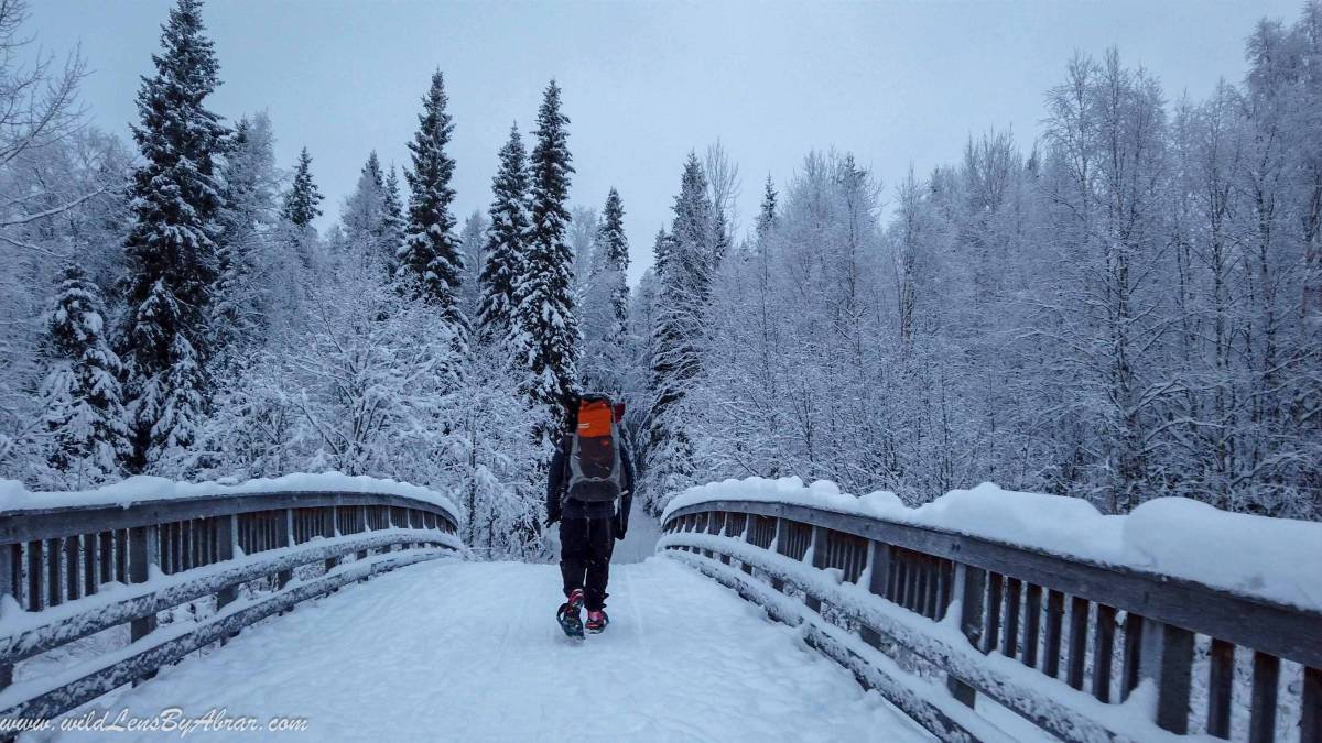 There is a beautiful bridge near Annintupa Day Hut to cross the Frozen River