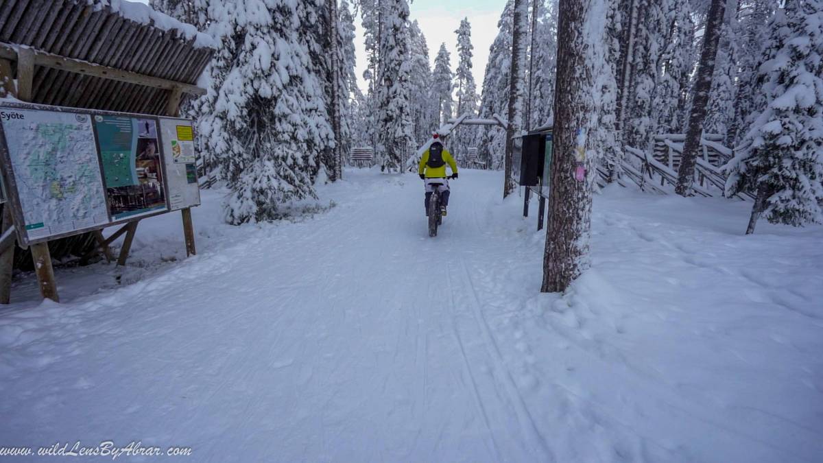 Snowshoeing in Syöte National Park