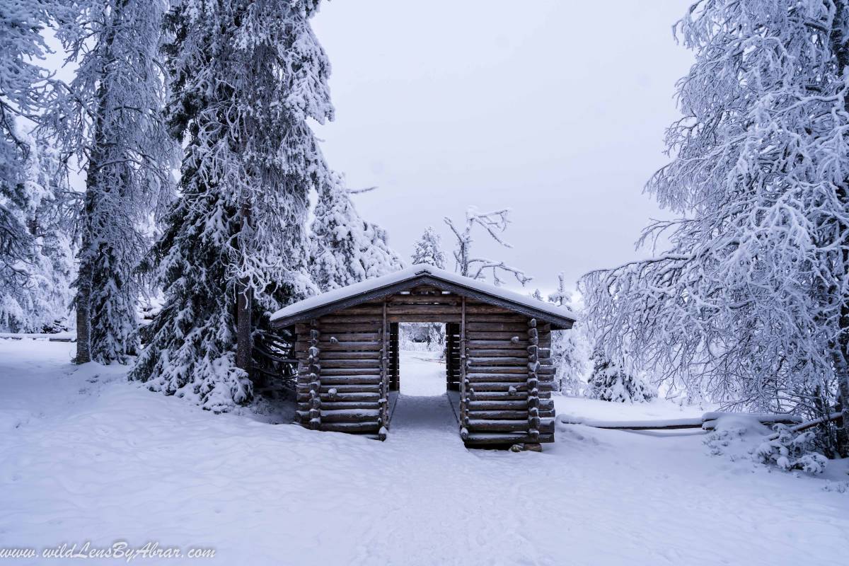 Entrance to the Riisitunturi National Park