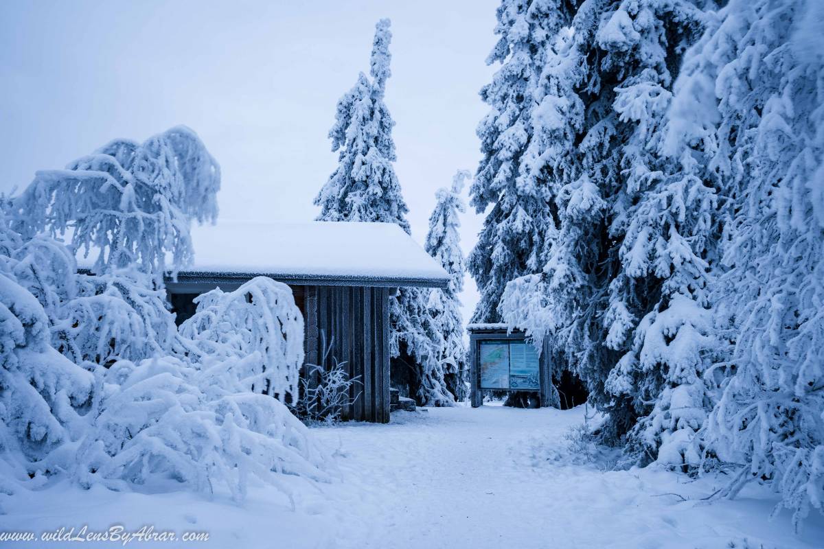 Riisitunturi Open Wilderness Hut