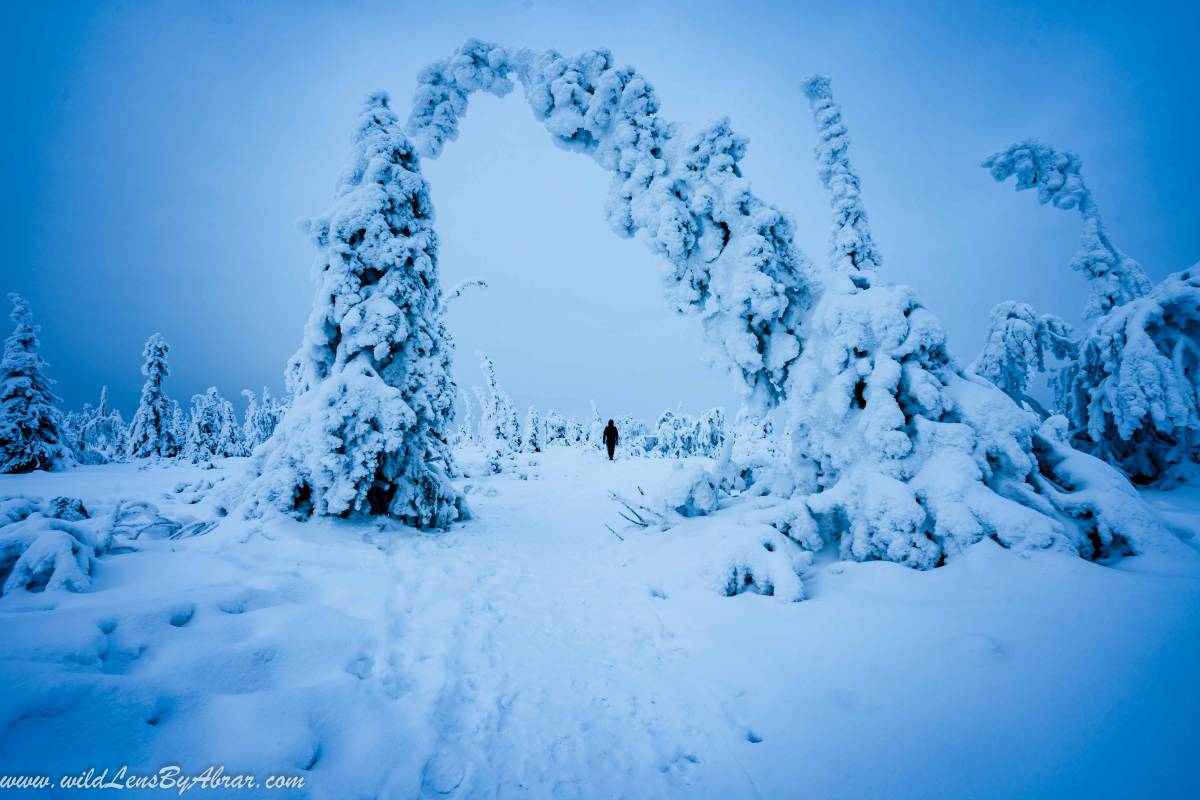 Breathtaking Riisitunturi National Park