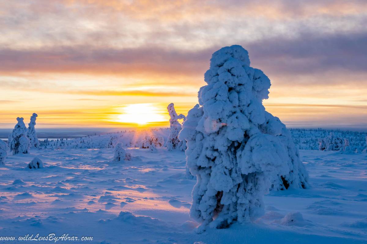 Stunning Riisitunturi National Park