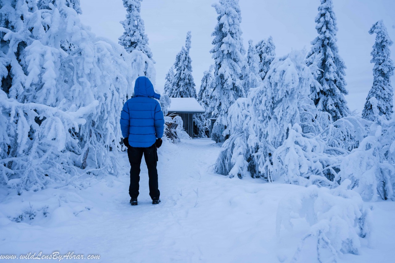 Riisitunturin-national-park-lapland-finland