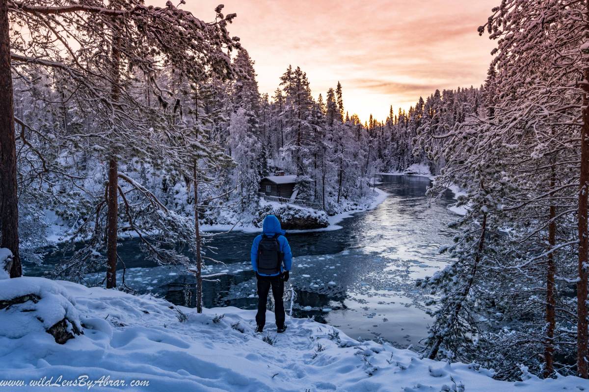 Frozen Lake at Oulanka National Park