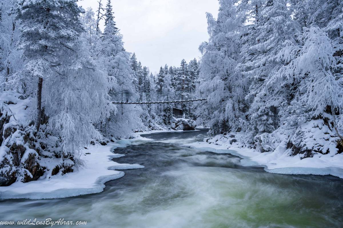 Myllykoski Hanging Bridge