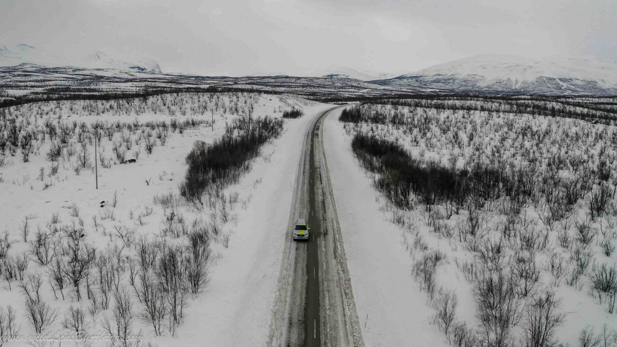Driving towards Abisko on a Rental Car
