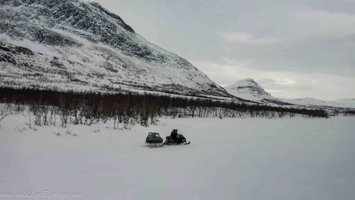 Half Day Snowmobile Tour in Abisko National Park