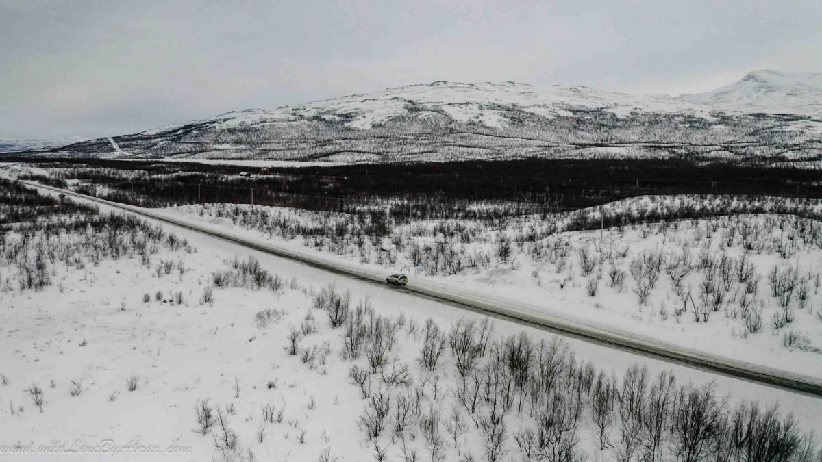 The Road between Abisko and Kiruna