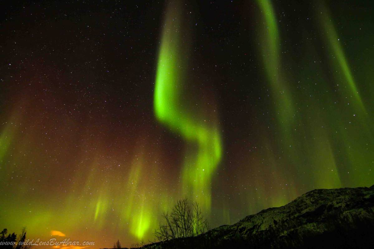 Northern Lights near Tromso