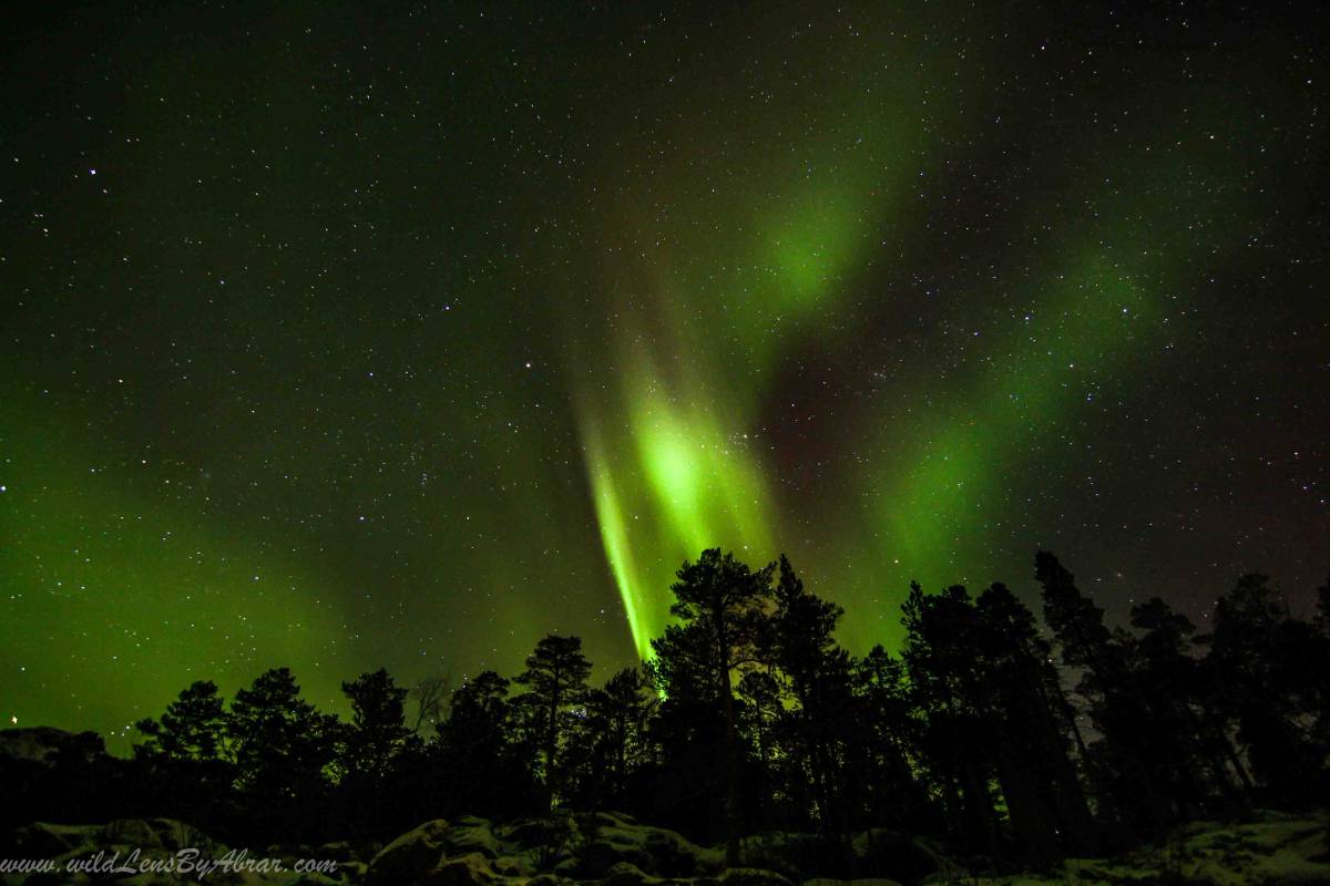 Incredible Display of Northern Lights near Alta, Norway