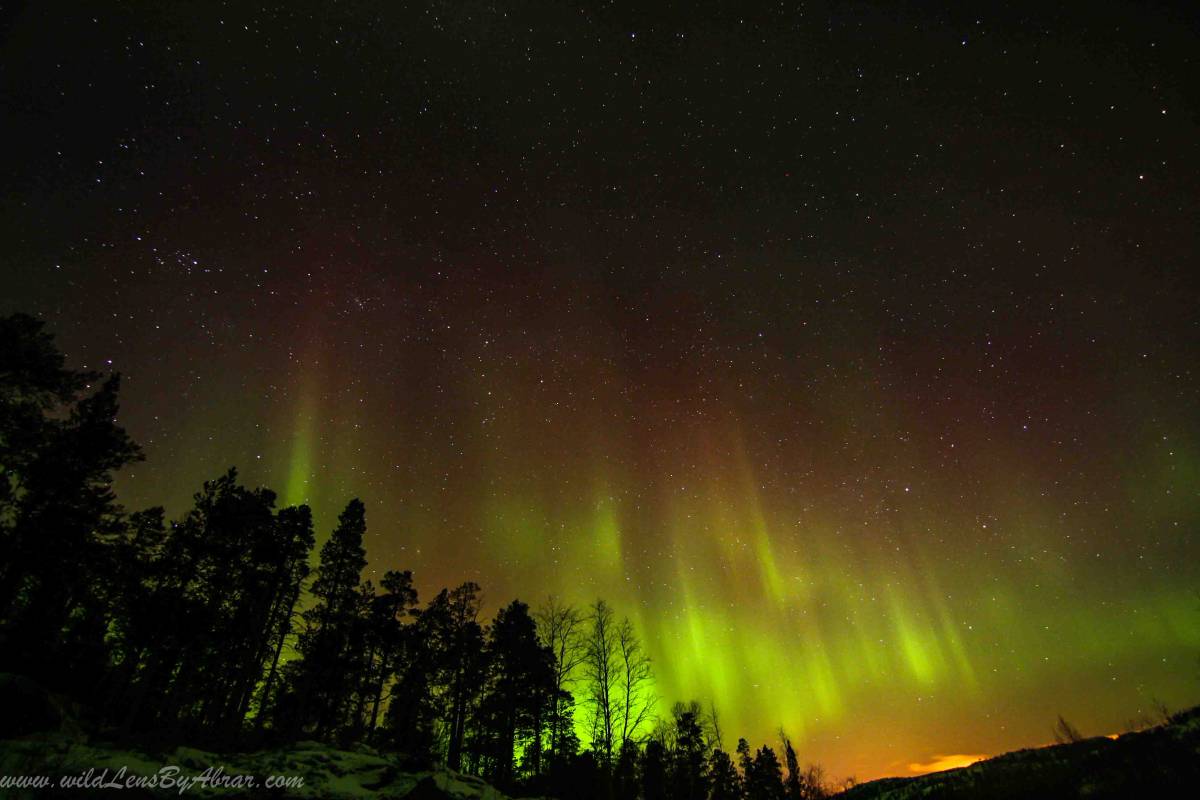 Incredible Display of Northern Lights near Alta, Norway