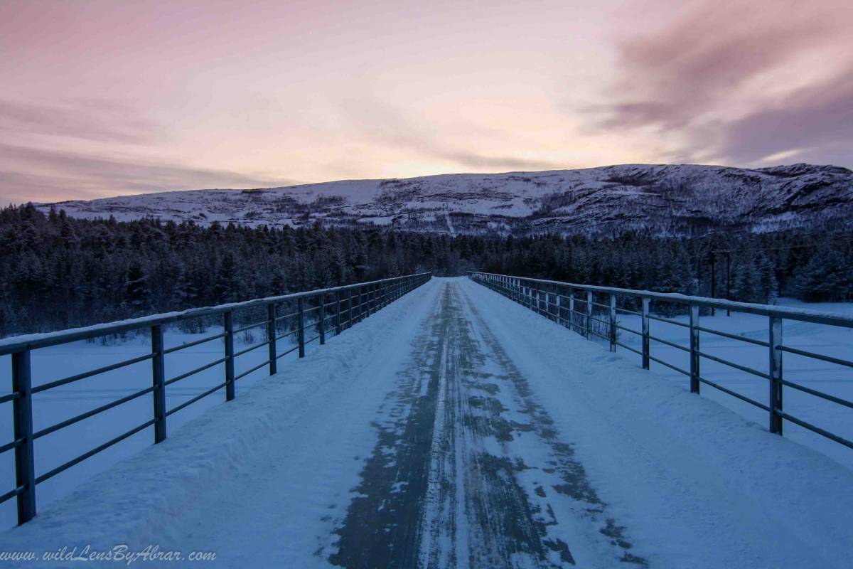 Frozen Polar Landscape near Alta