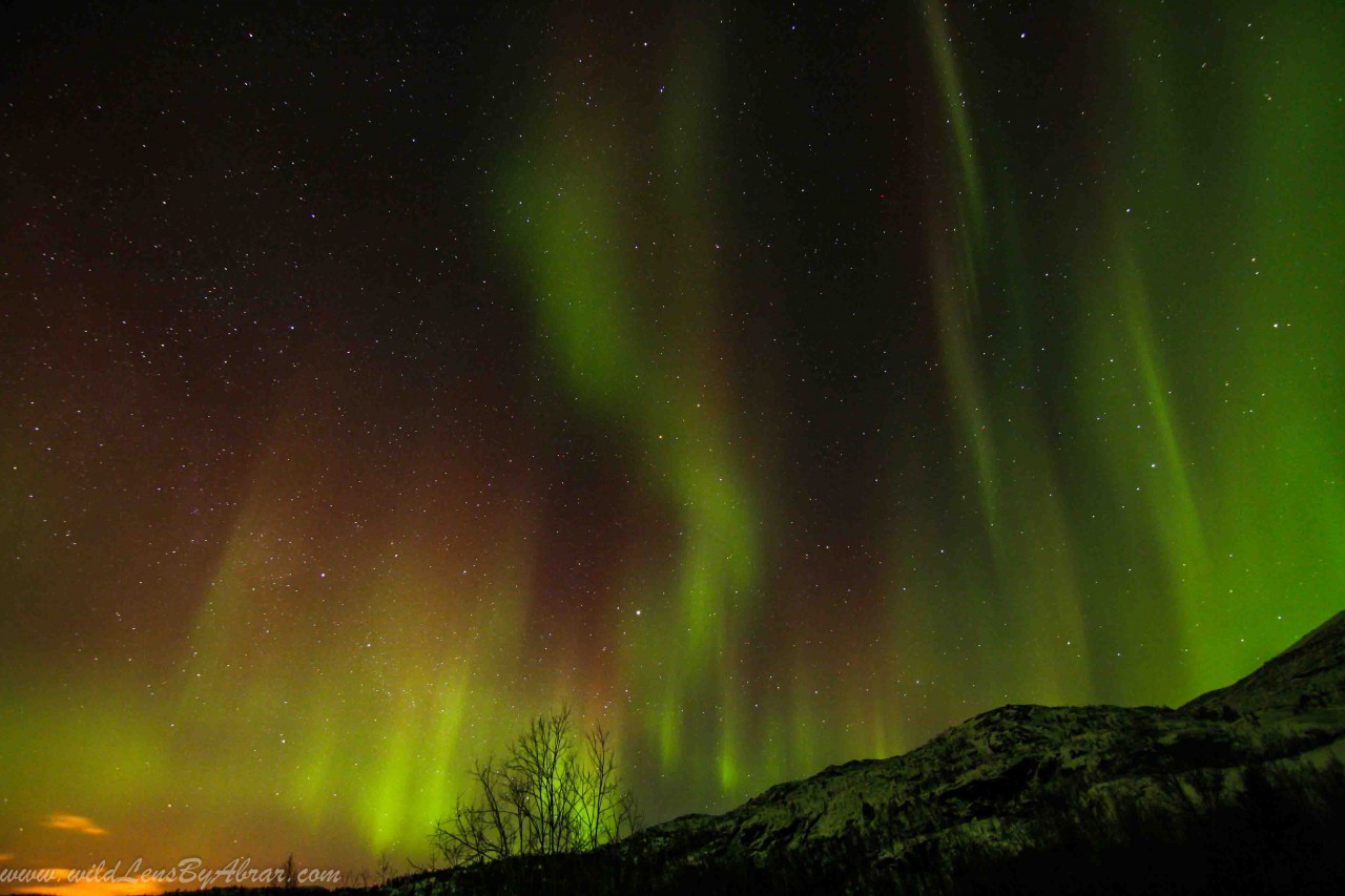 northern-lights-alta-norway