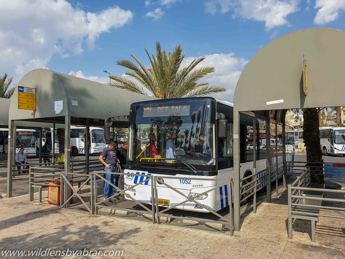The bus number 231 from outside of the old city in front of Damascus gate goes to Bethlehem