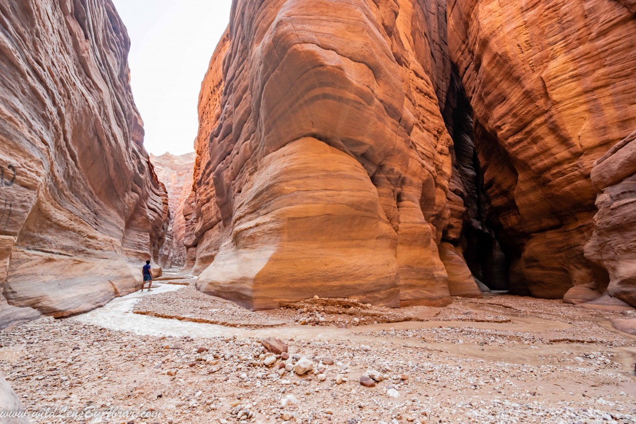 How to Visit Stunning Canyons of Wadi Mujib and Wadi Numeira in Jordan