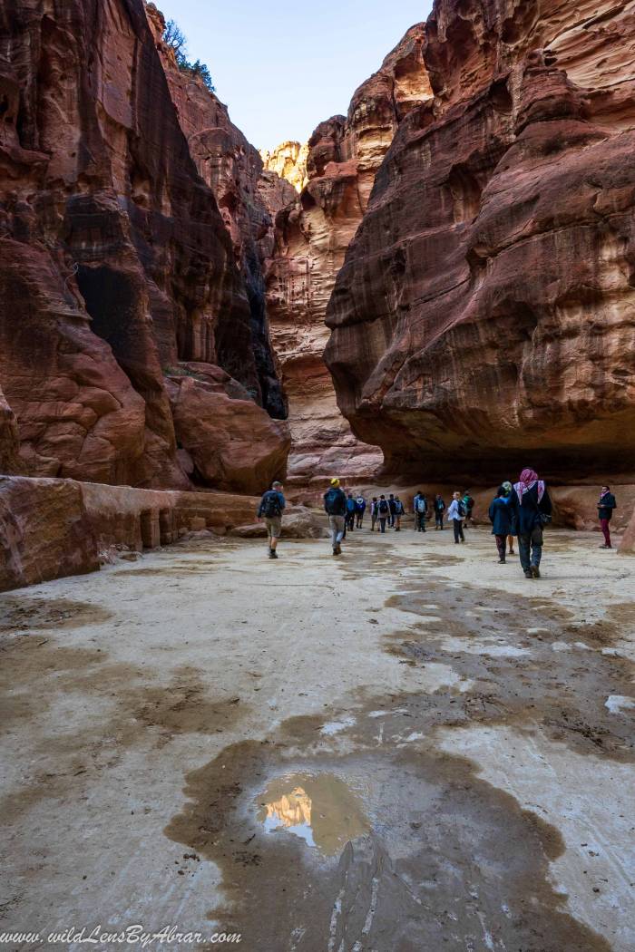 The Siq Petra