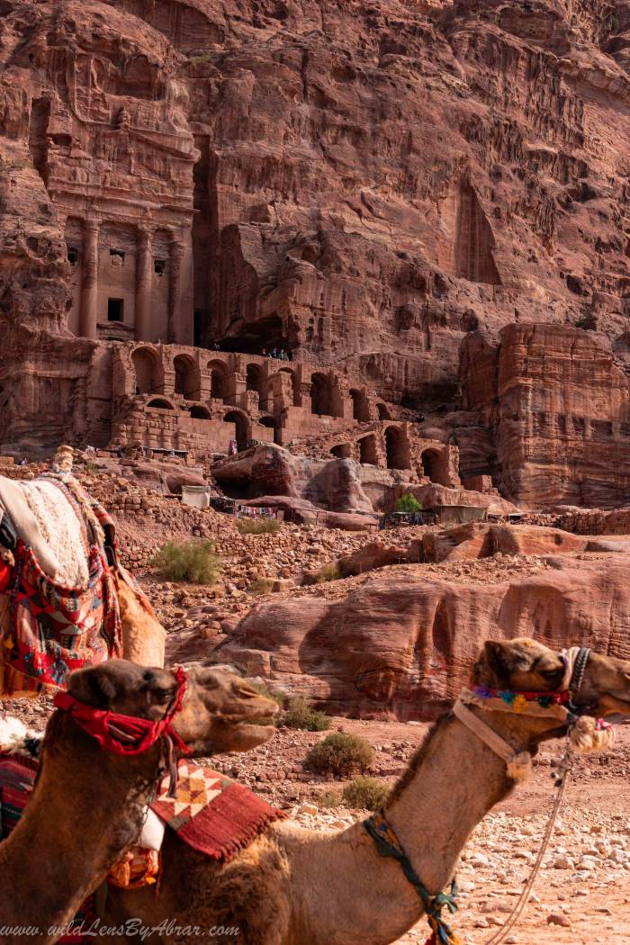 Petra Palace Tomb