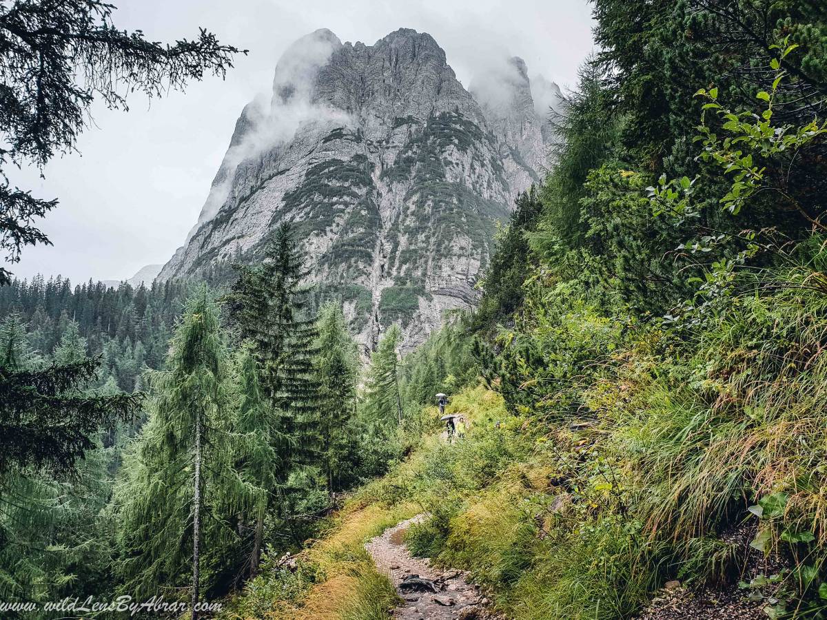 The views get better as the trail leaves the forest behind