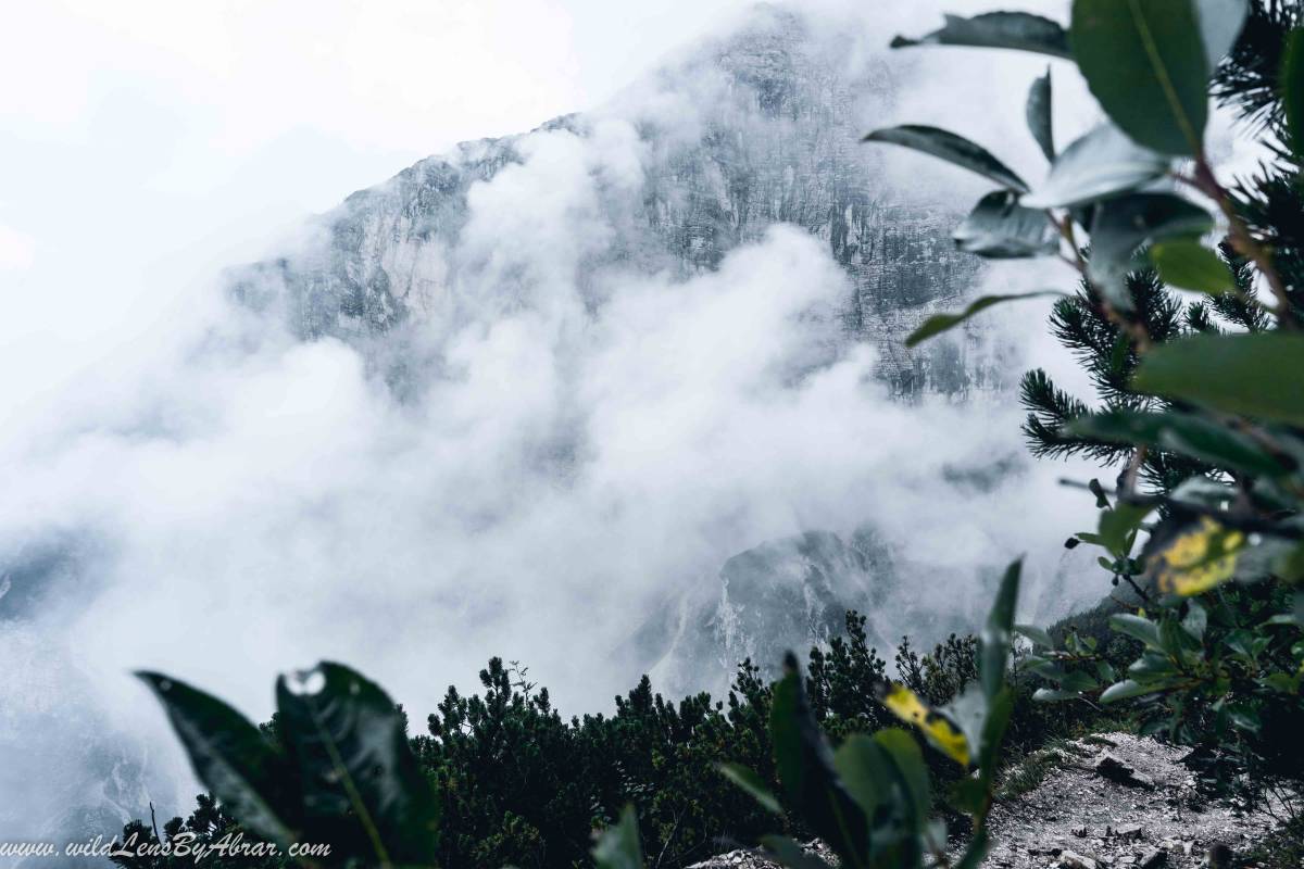 Dramatic views of the Mountains covered in thick fog