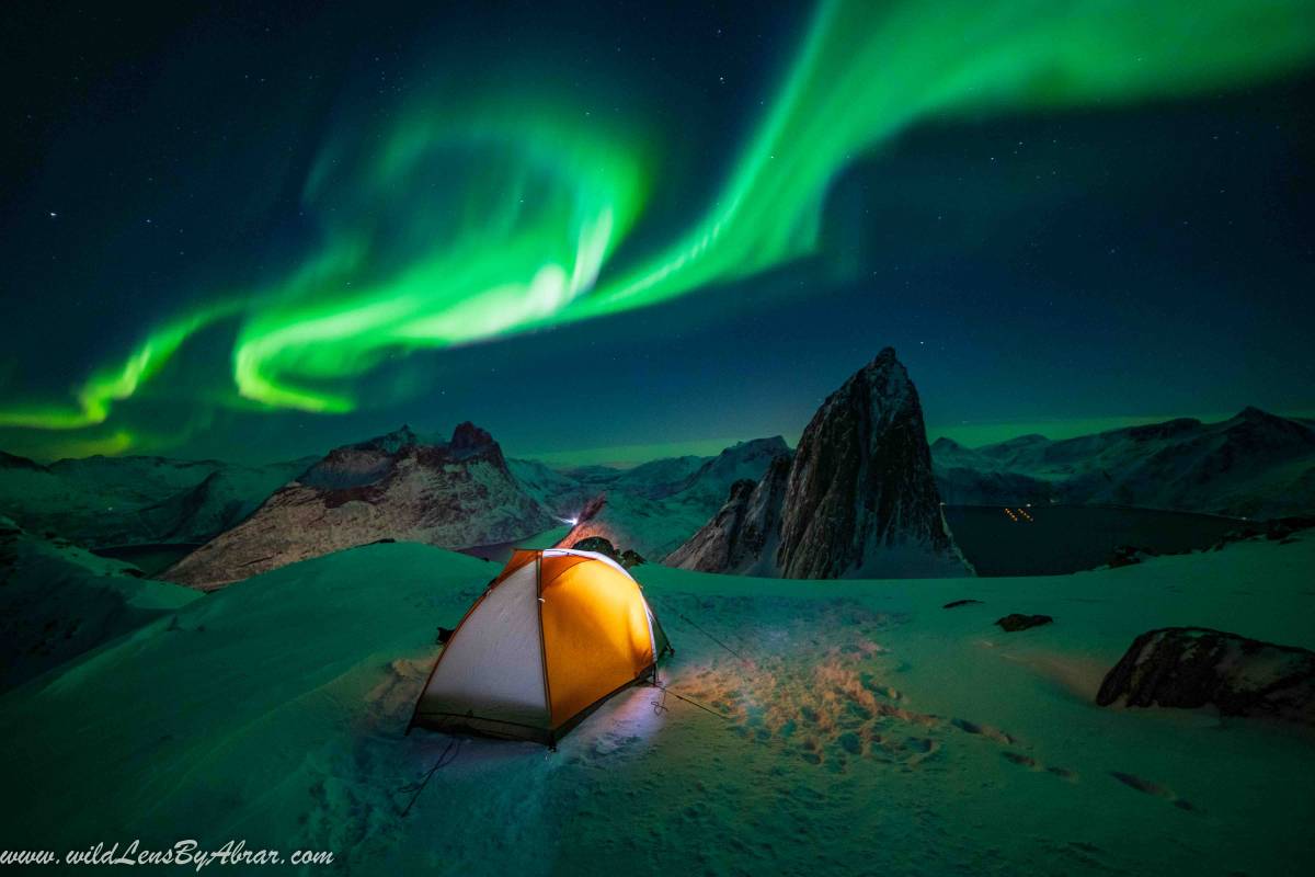 This Picture of Northern Lights in Senja Norway is taken with Sony A7iii using the Samyang 14mm F2.8