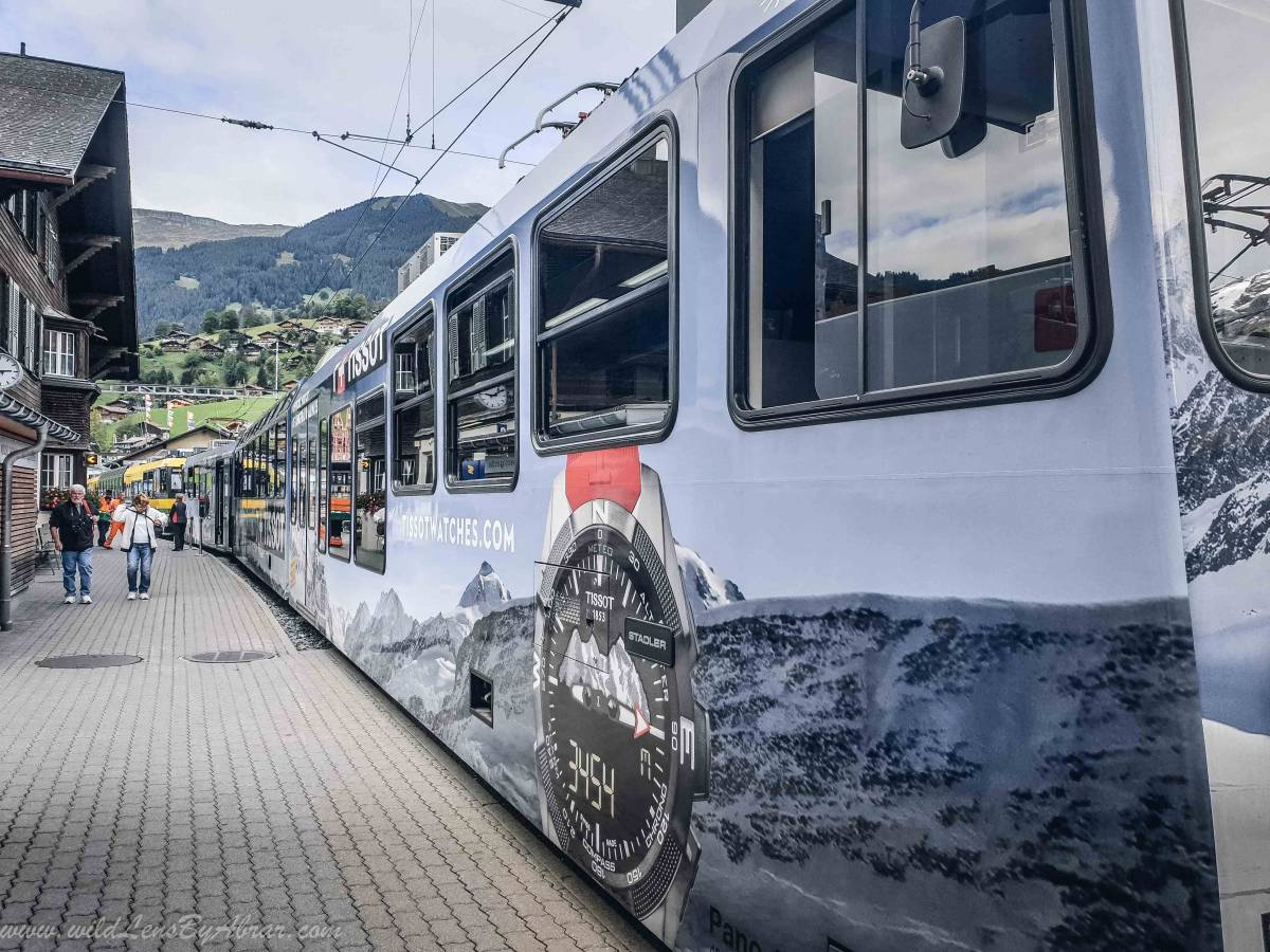 Train from Grindelwald Grund to Kleine Scheidegg