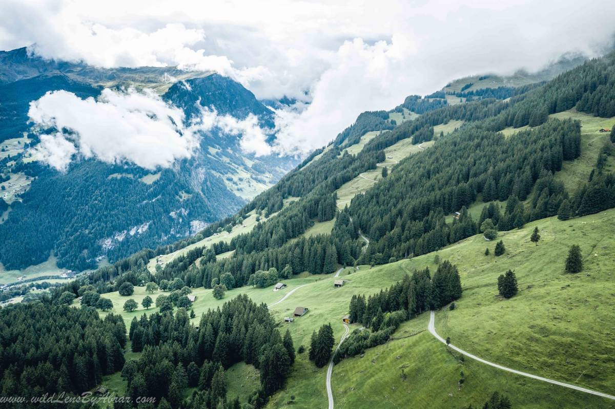 Aerial view of the Grindelwald valley