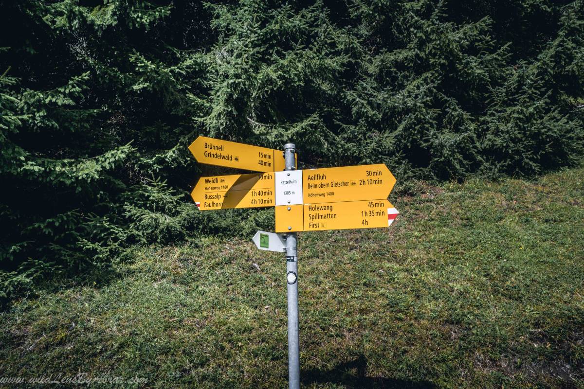 Grindelwald Hiking trails are well marked but are confusing