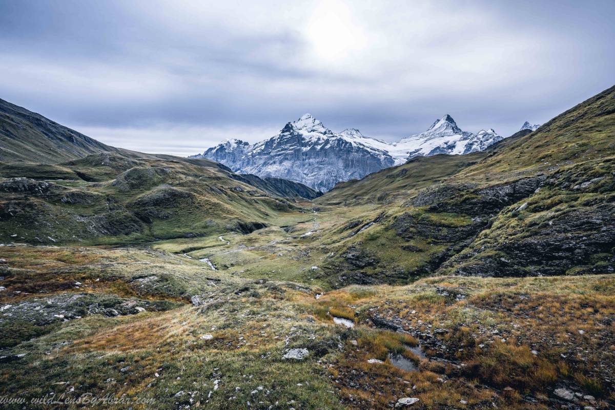 Grosseneg (2622m) and Schwarzhorn (2928m)