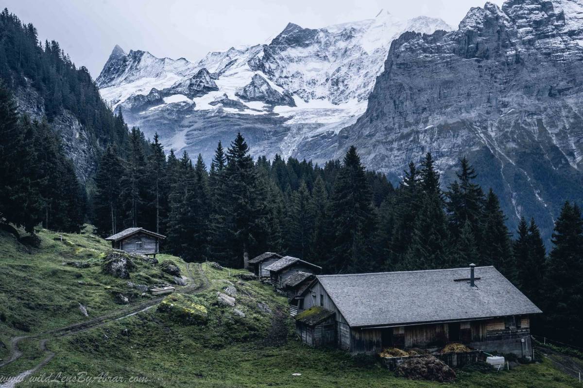 Beautiful huts along the trail