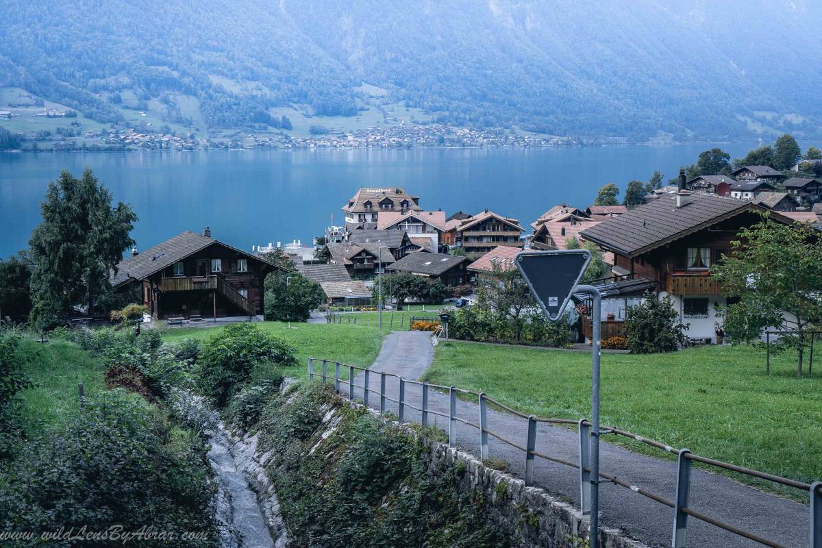 Brienzersee as seen from the entrance of the Iseltwald